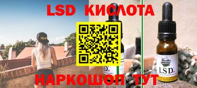 стаф Сланцы